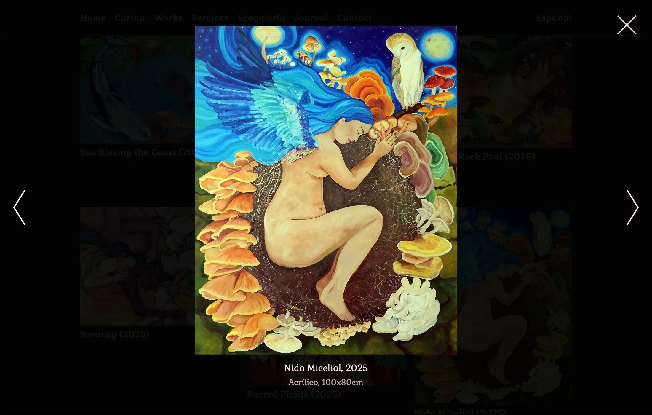 ArteCarina – website screenshot – lightbox