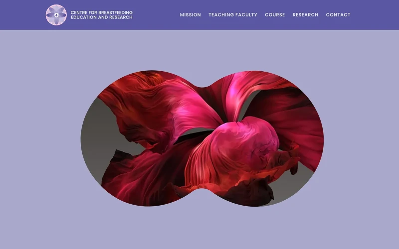 CBER – website design