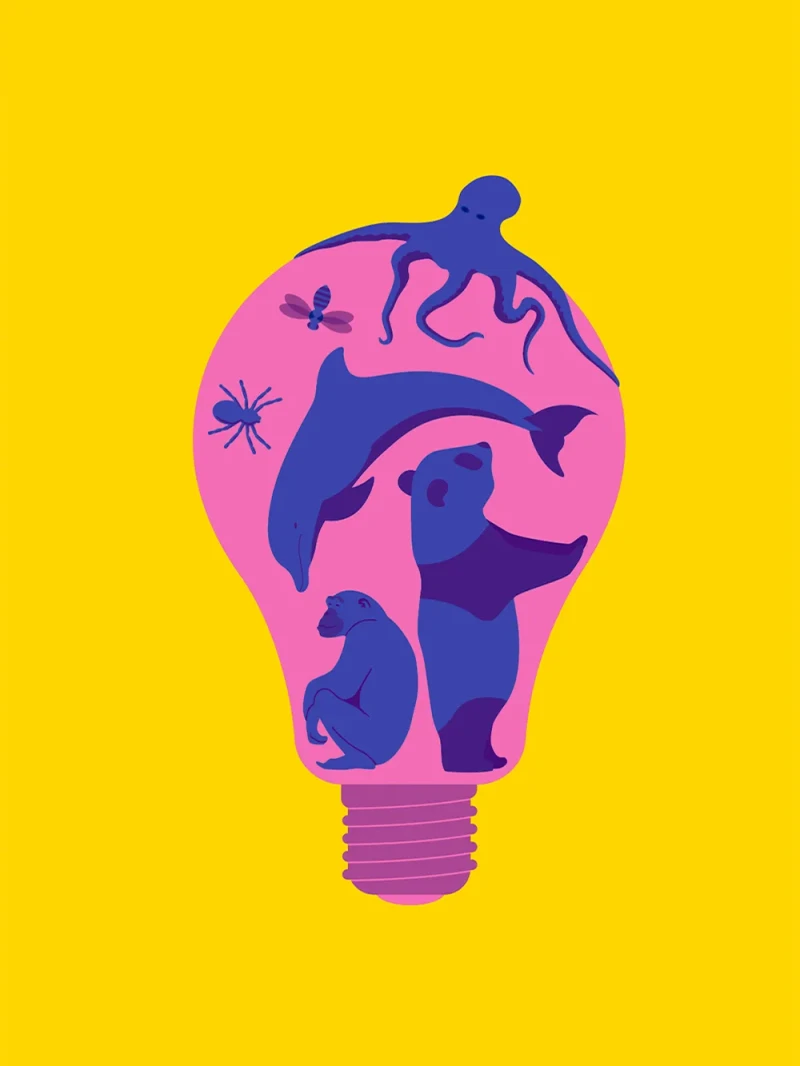 Short Cuts: Philosophy – Animal Intelligence – editorial illustration by Robert Fiszer