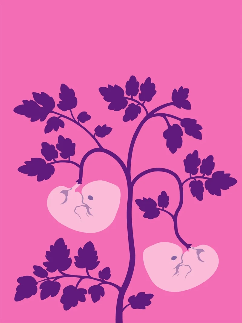 Short Cuts: Philosophy – Possibilities of Cloning – illustration by Robert Fiszer