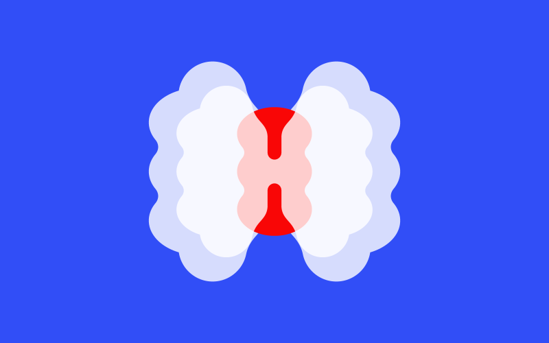 Marketing Website Development