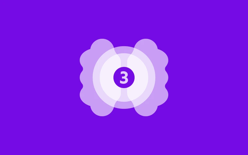 Website Management – Standard Plan