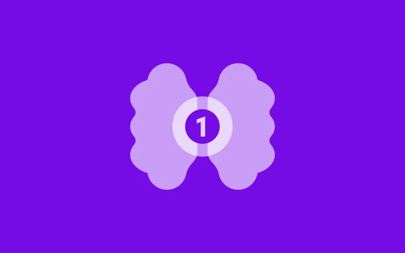 Website Management – Basic Plan